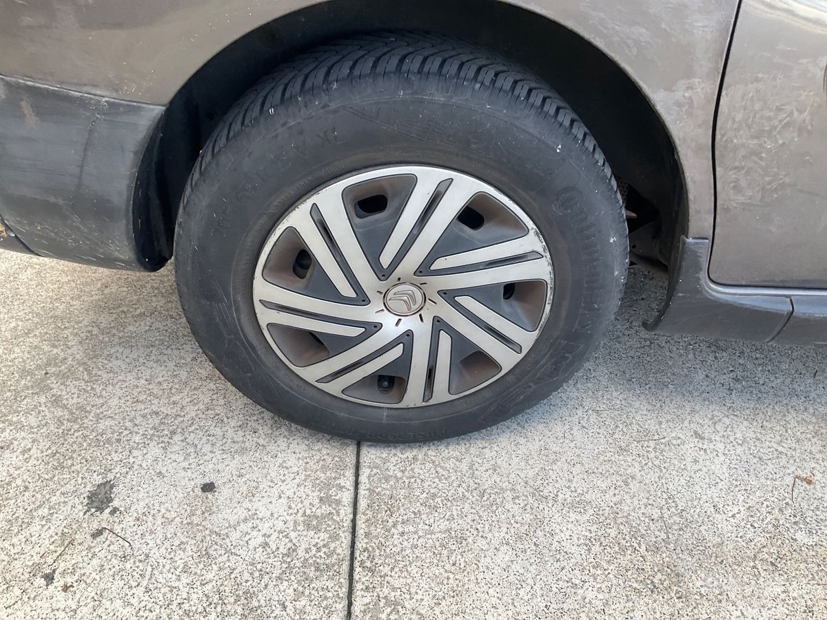 Neumático trasero derecho