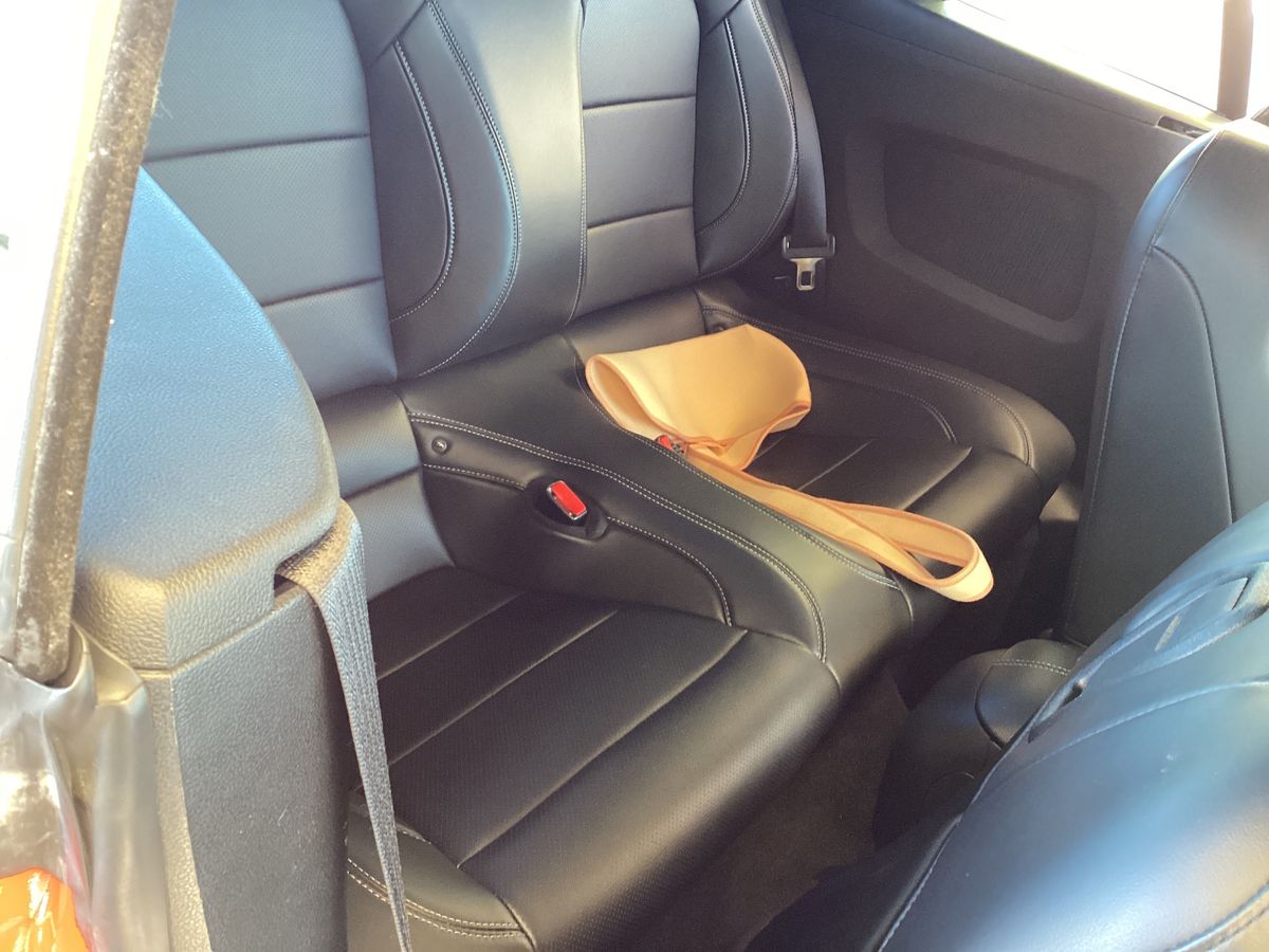 Interior trasero