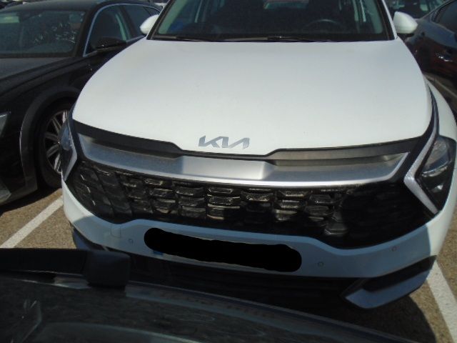 Frontal