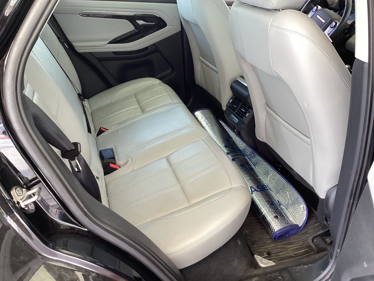 Interior trasero