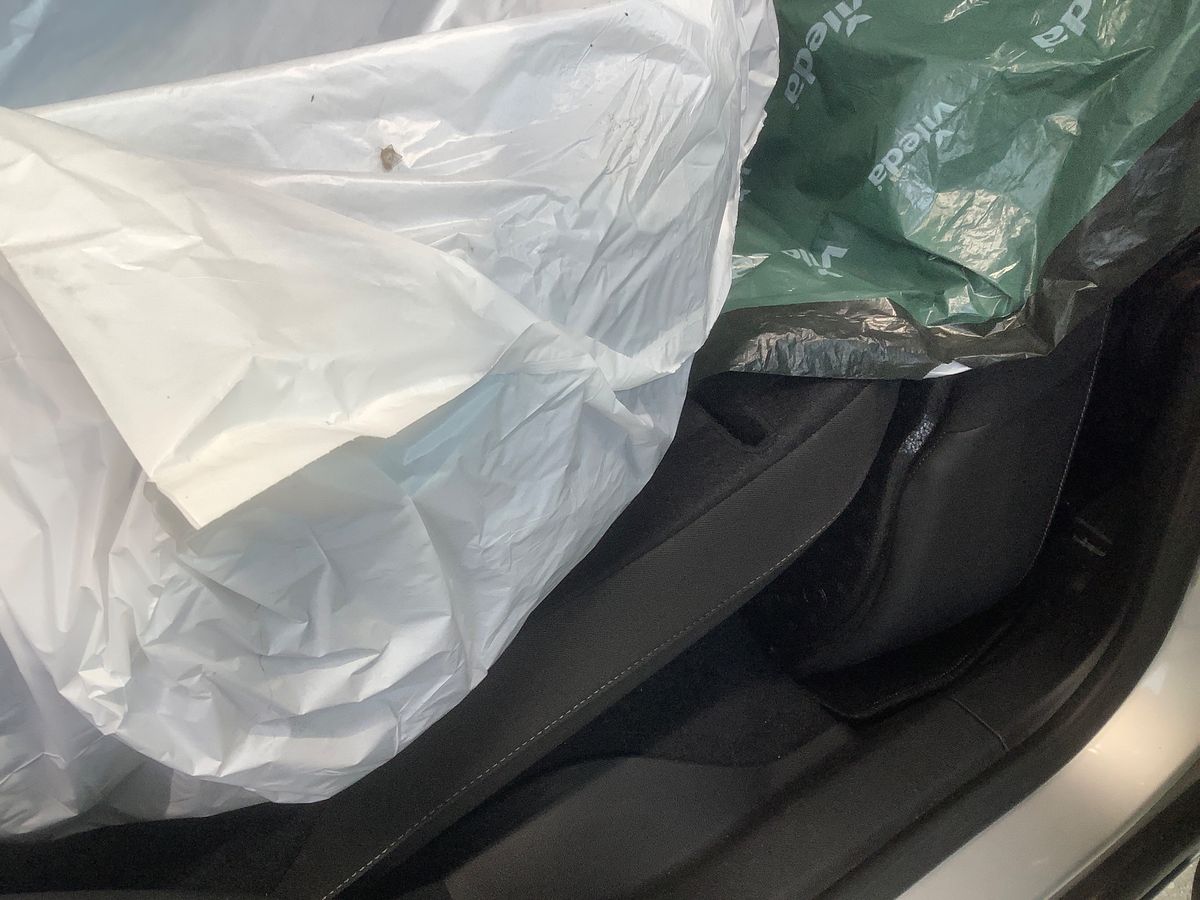 Interior trasero