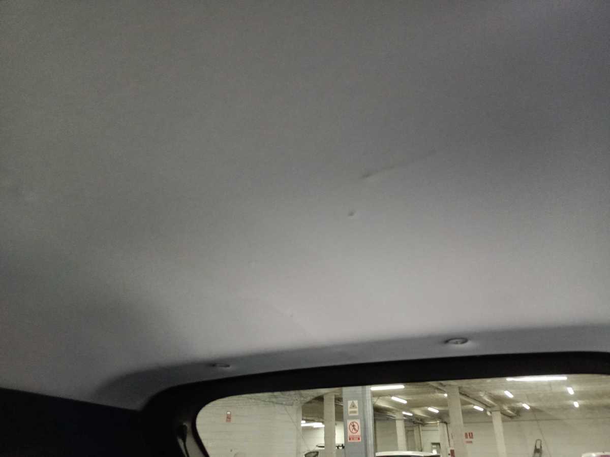 Guarnecido del techo Rasguño