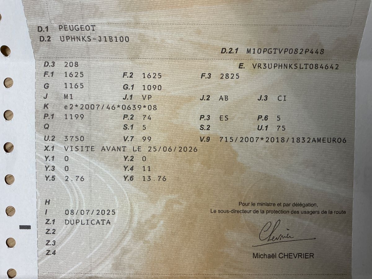 1º matriculación
