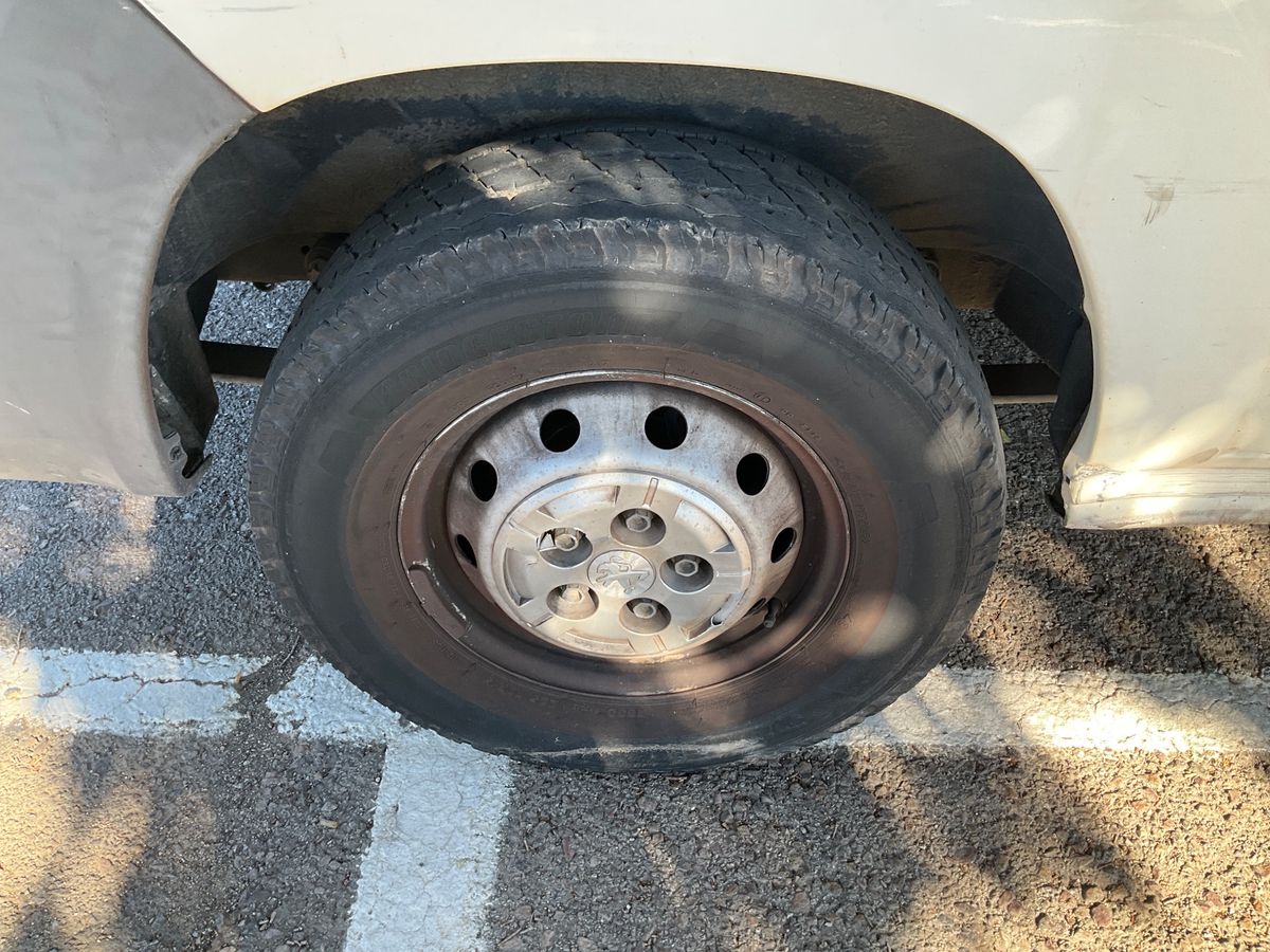 Neumático trasero derecho