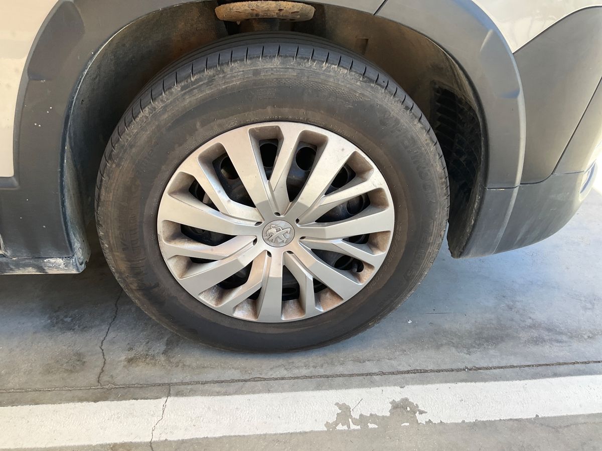 Neumático delantero derecho