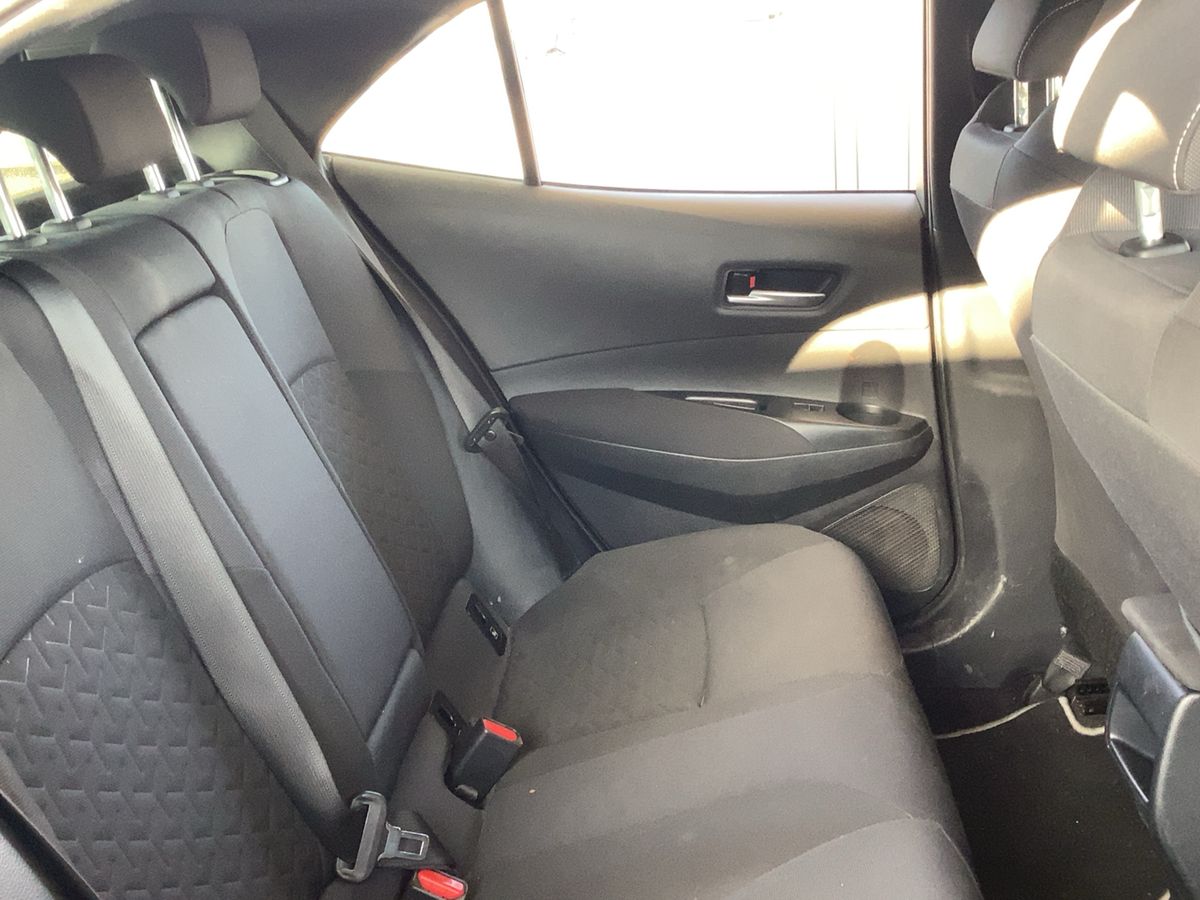 Interior trasero