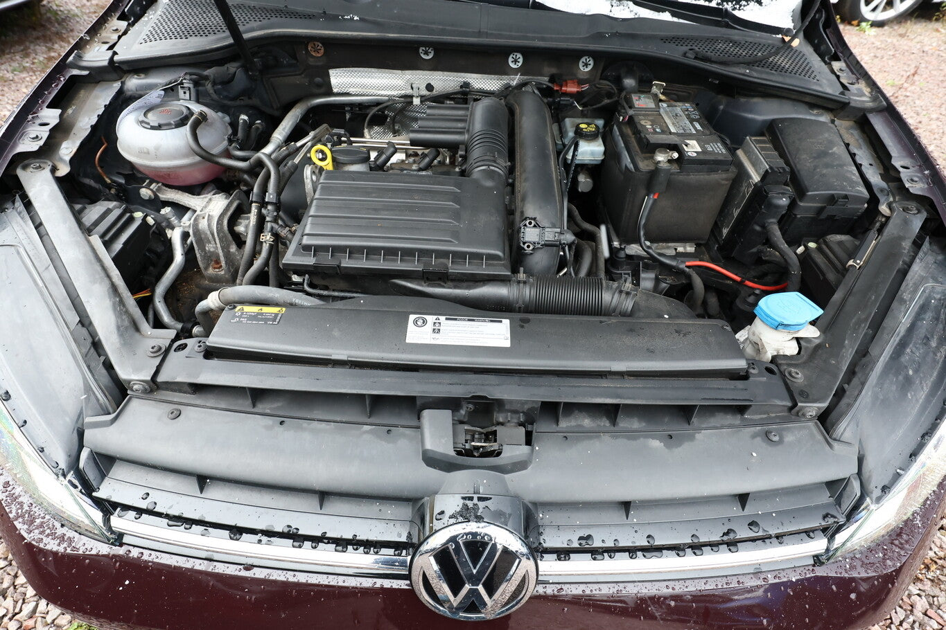 Volkswagen Golf VII 1.4 TSI 150 Comfortline LED ergoA SHZ 109210666 9