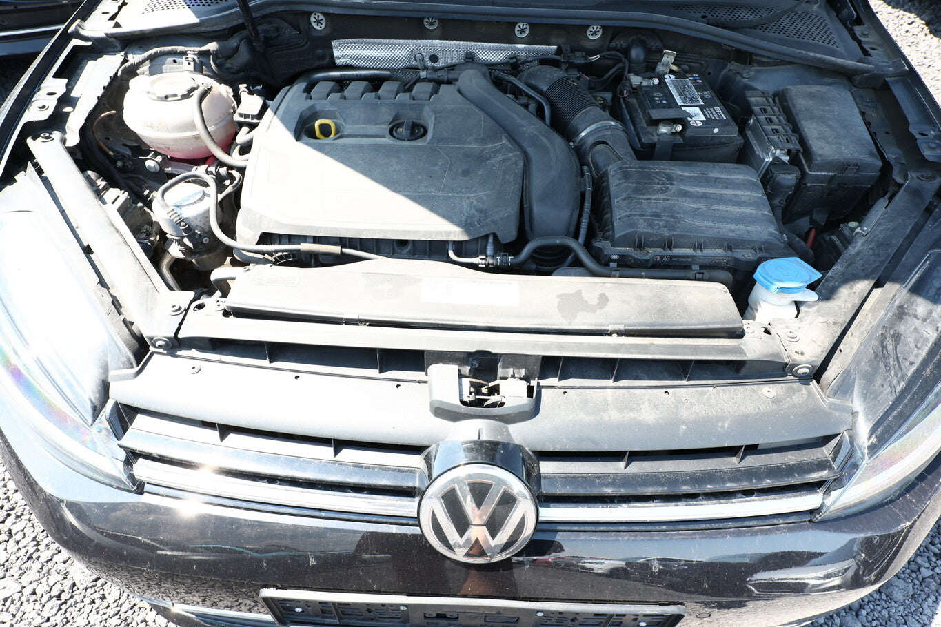 Volkswagen Golf VII 1.5 TSI 150 DSG Comfortline Nav ACC SHZ 127567370 9