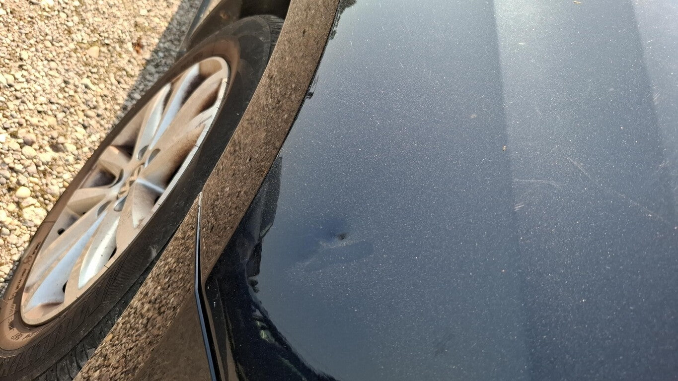 Volkswagen Polo 1.2 Match Climatic LM PDC 141098091 15