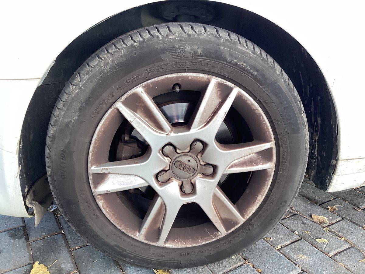 Neumático delantero izquierdo