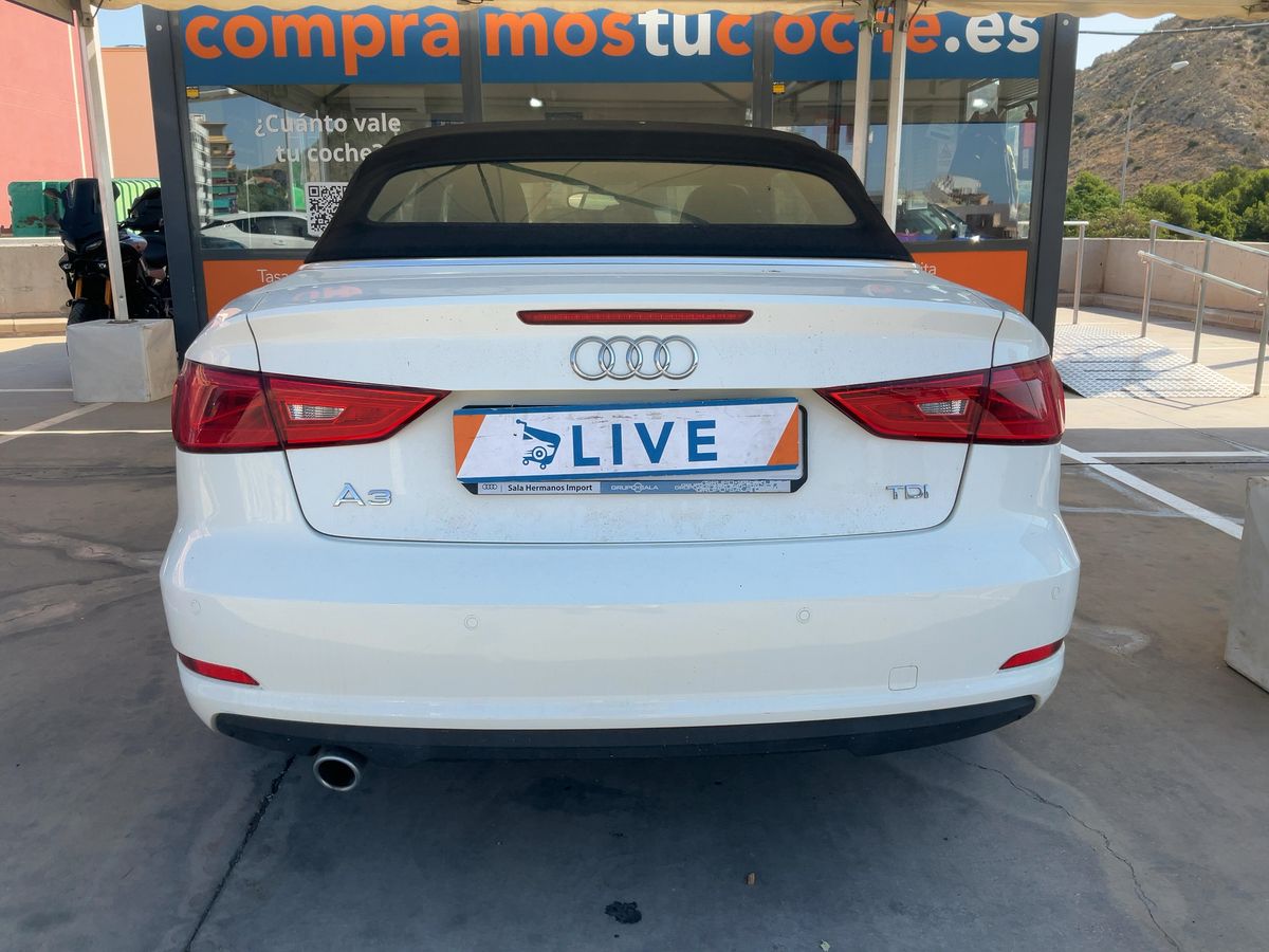 Parte Trasera