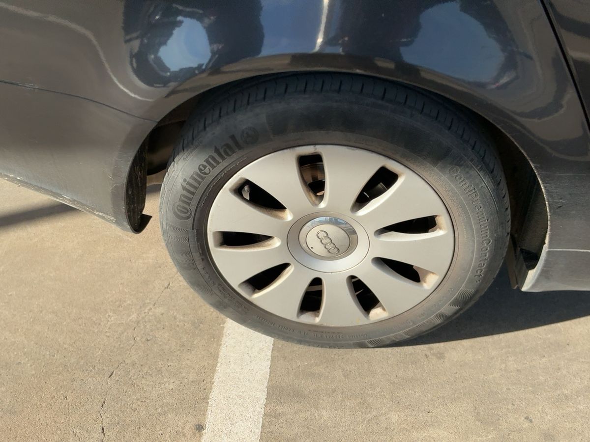 Neumático trasero derecho