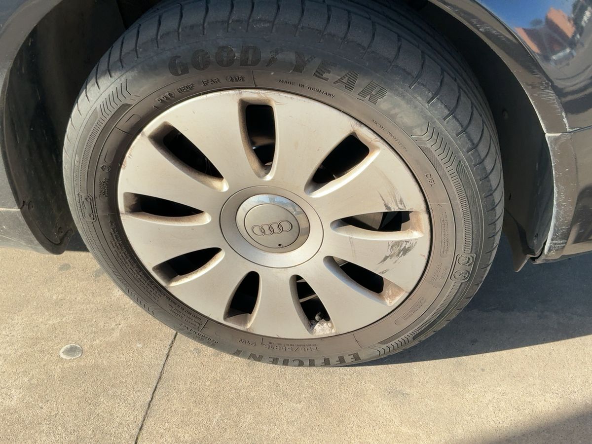 Neumático delantero derecho