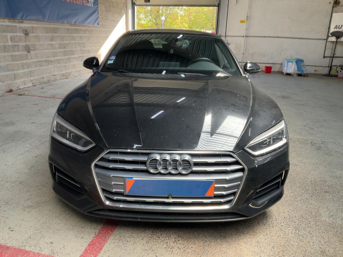 Frontal