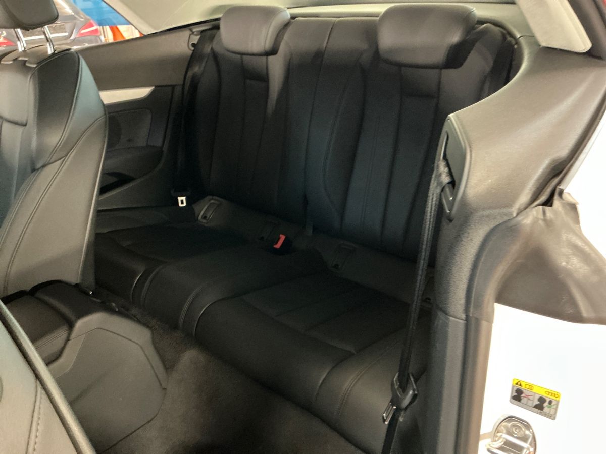 Interior trasero