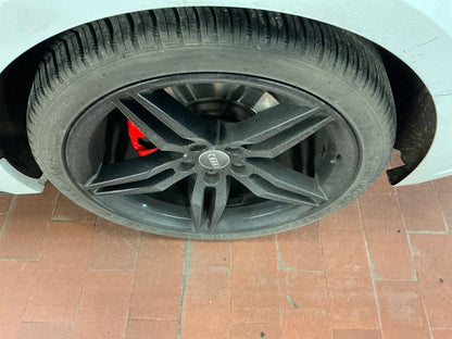 Neumático trasero izquierdo