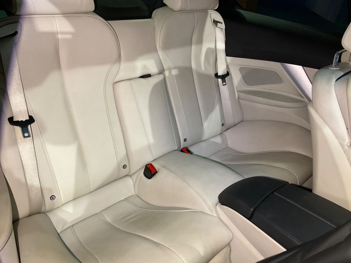 Interior trasero