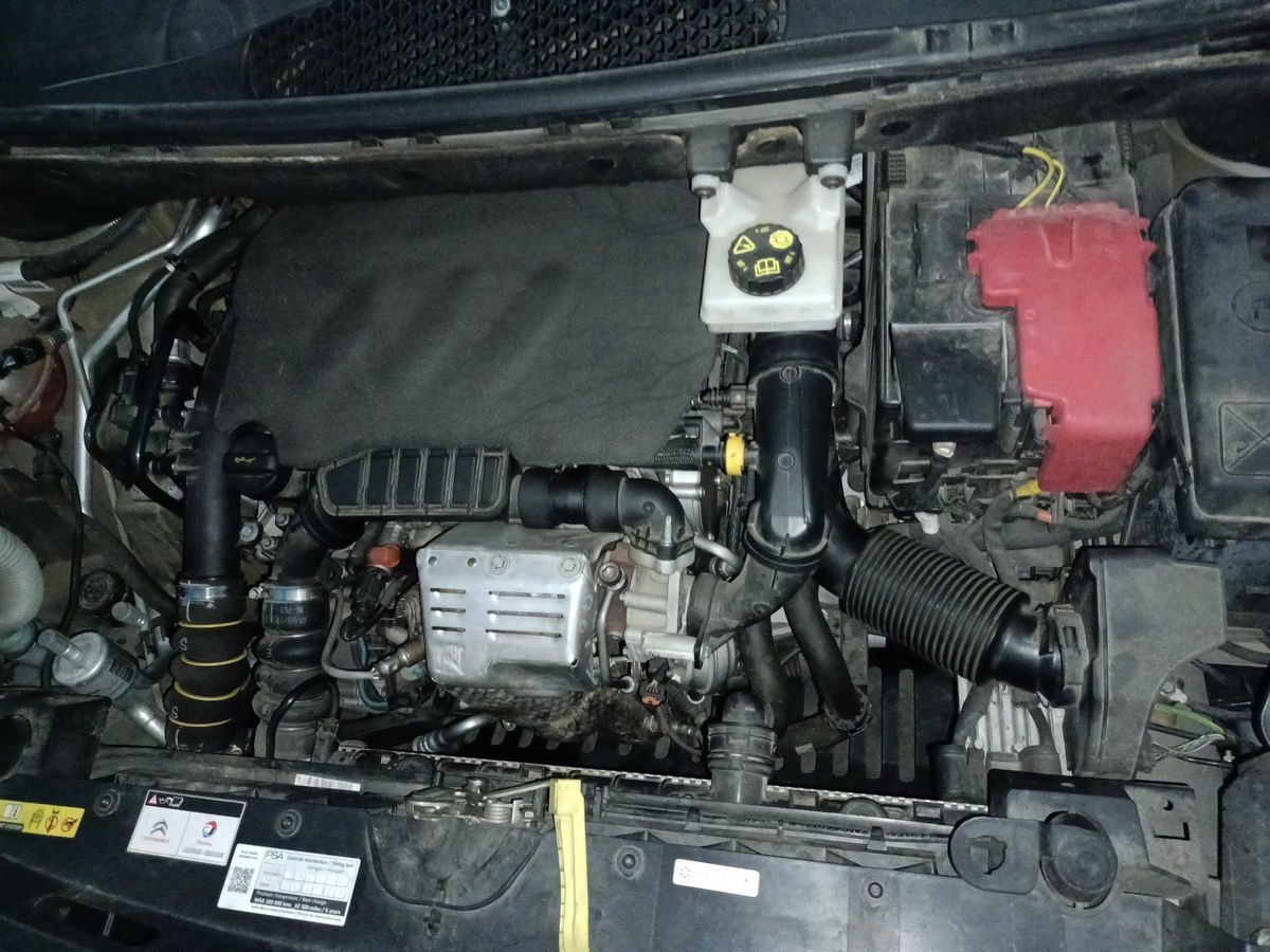 Motor