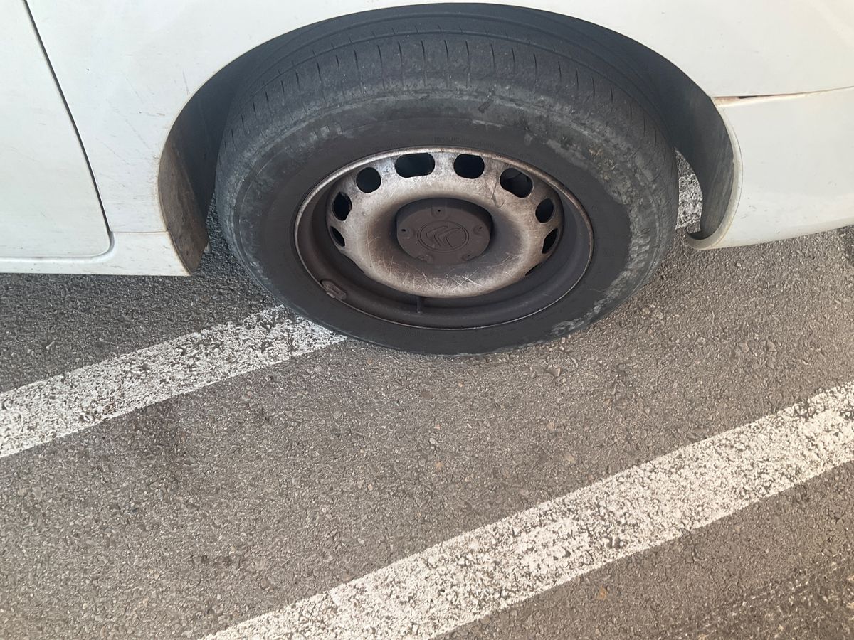 Neumático delantero derecho