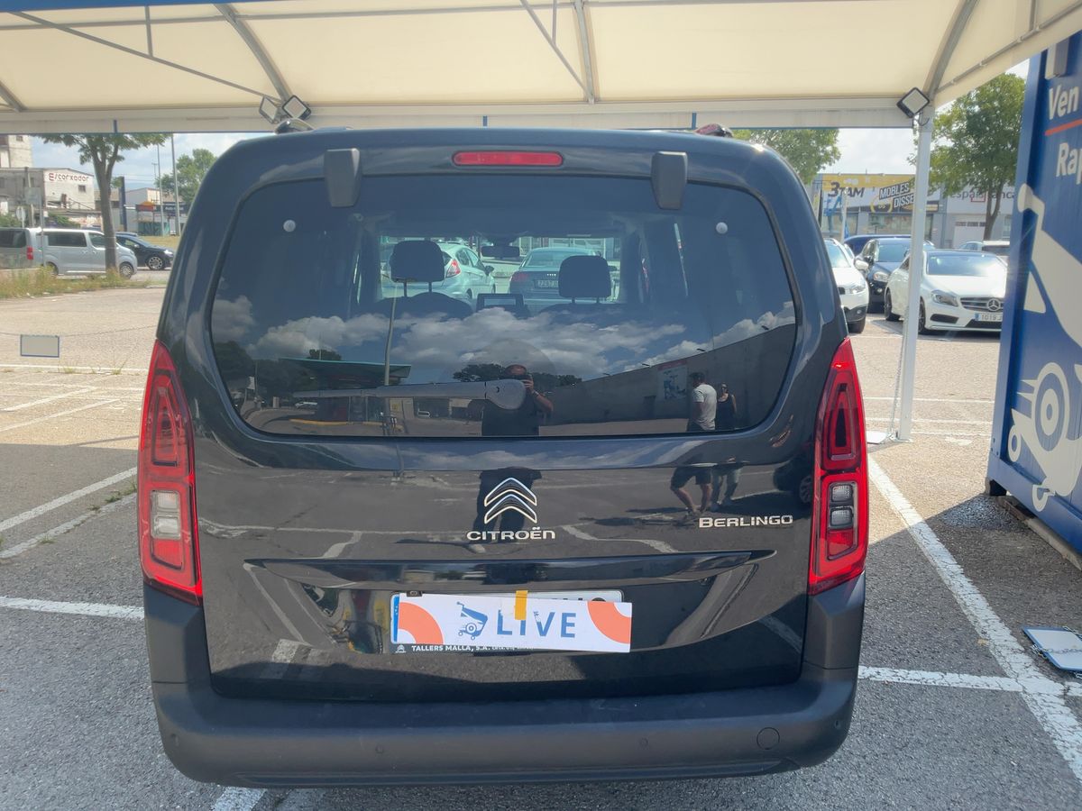 Parte Trasera