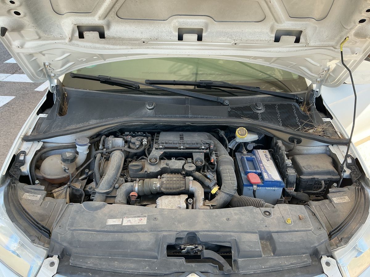 Motor