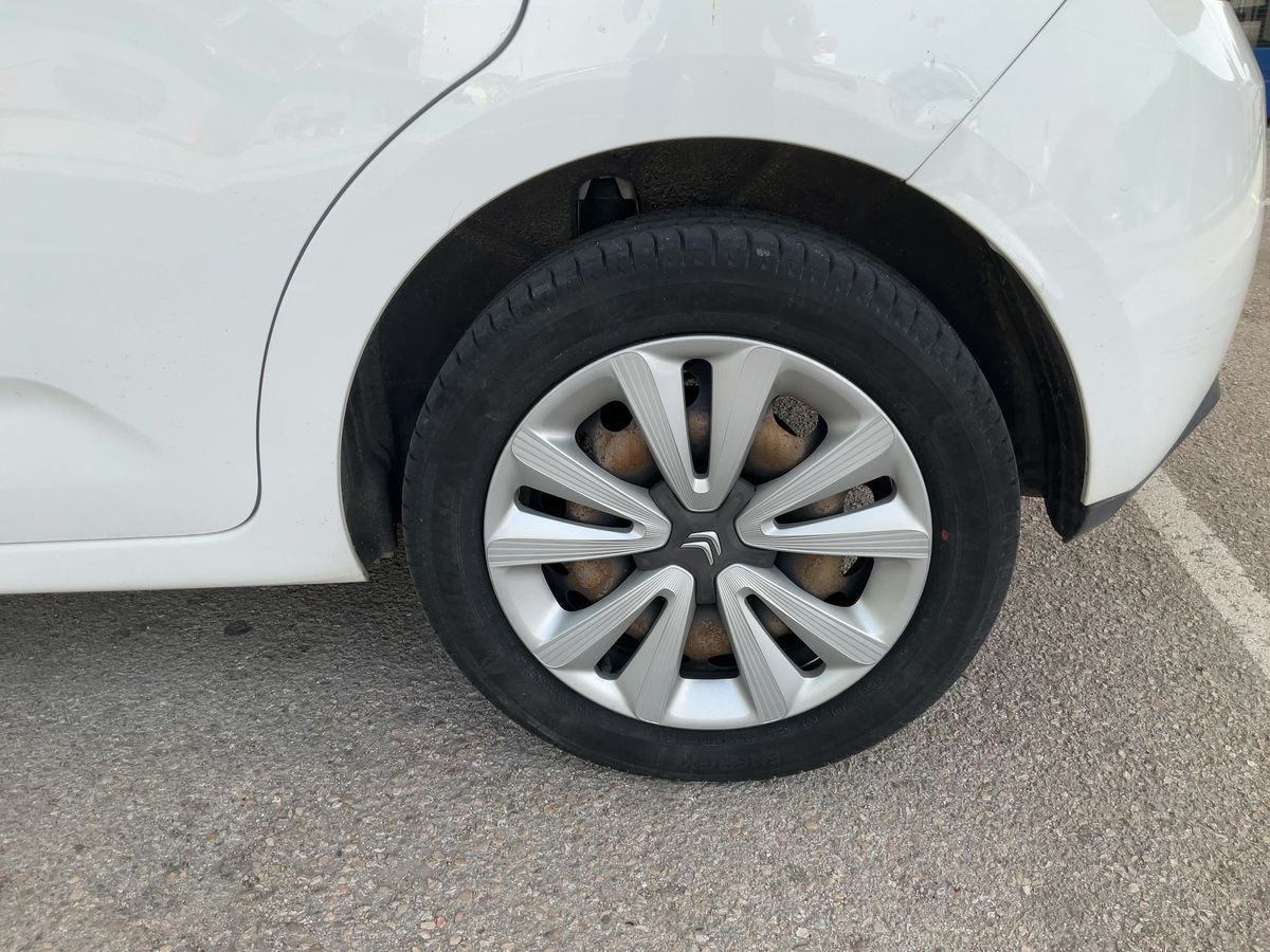 Neumático trasero izquierdo