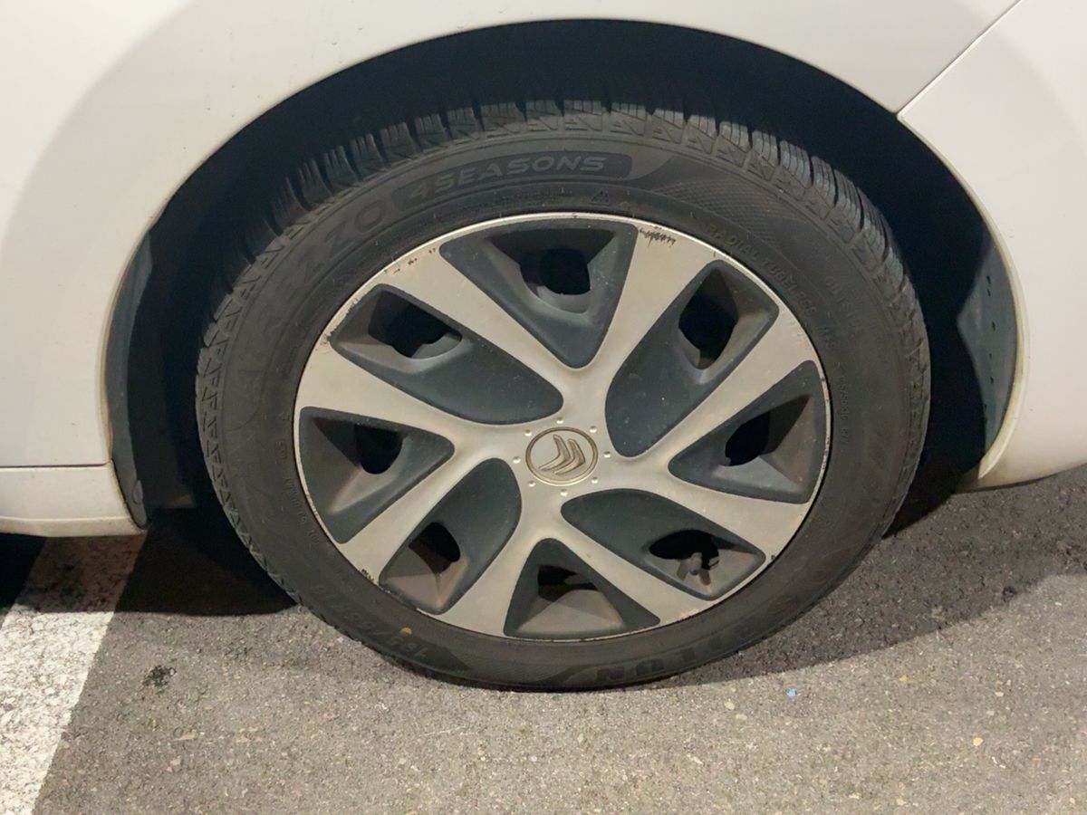 Neumático delantero derecho