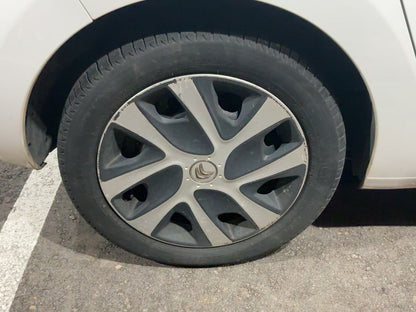 Neumático trasero derecho