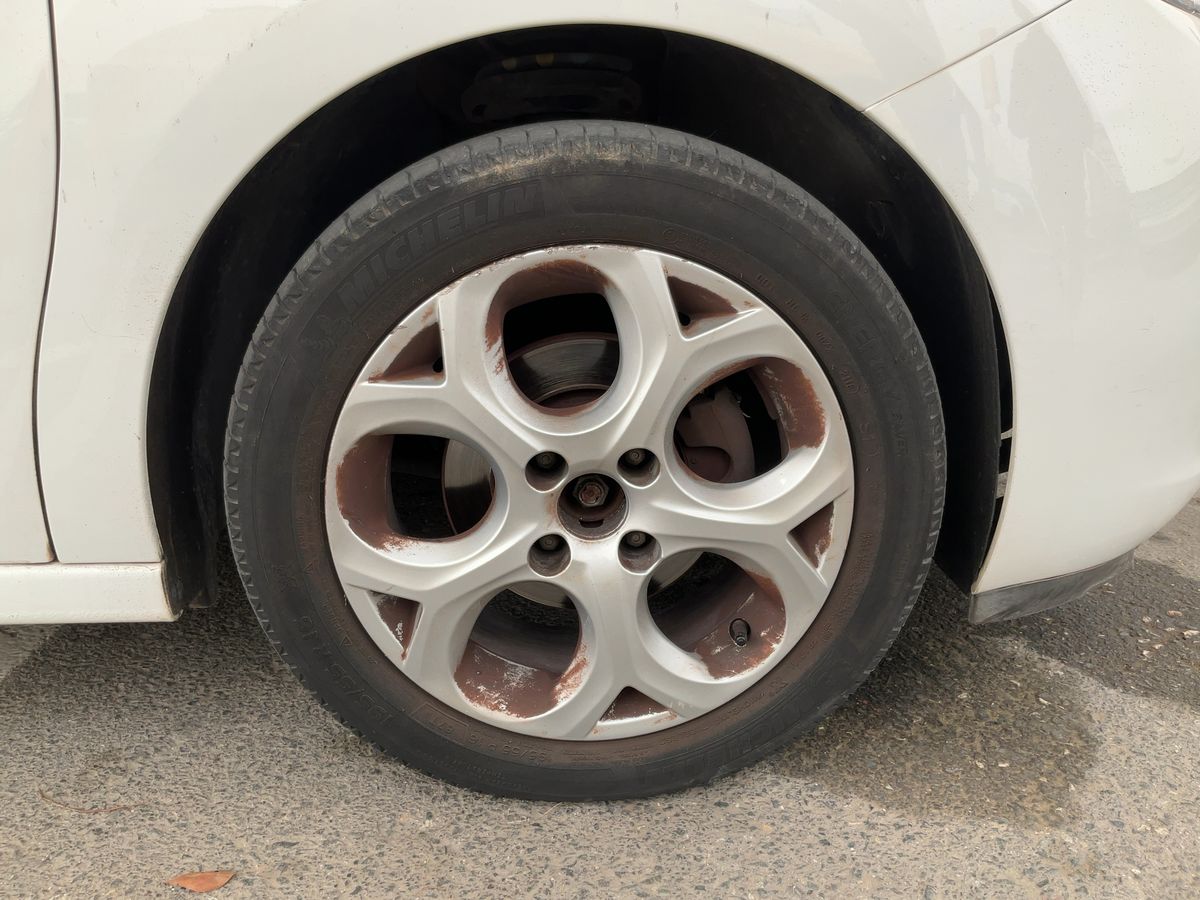 Neumático delantero derecho