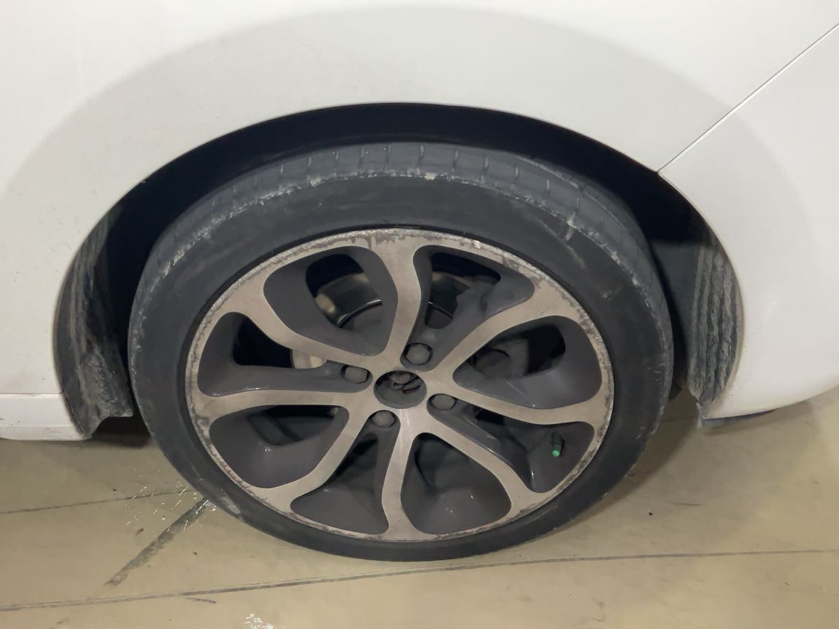 Neumático delantero derecho