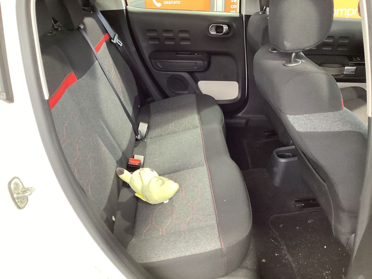 Interior trasero