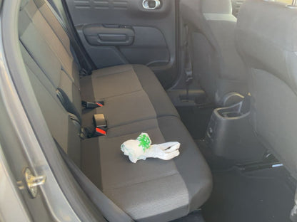 Interior trasero