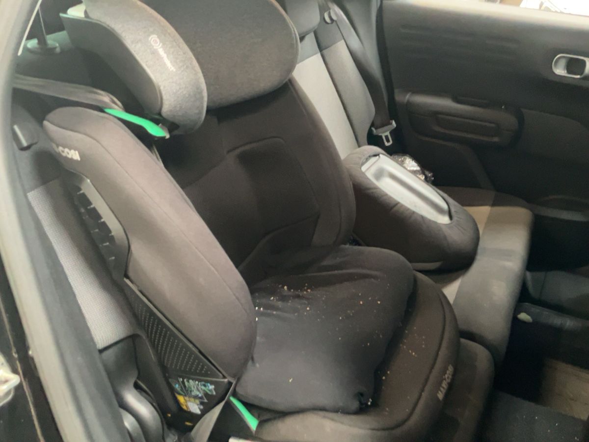 Interior trasero