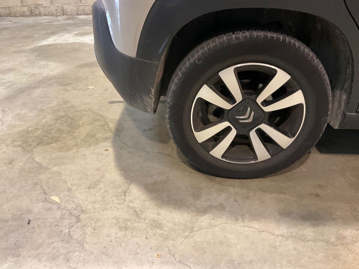 Neumático trasero derecho