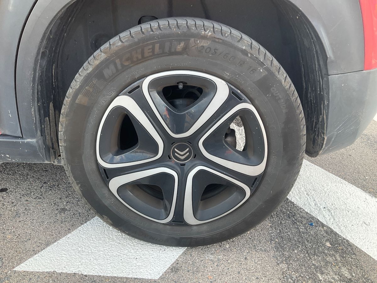 Neumático trasero izquierdo