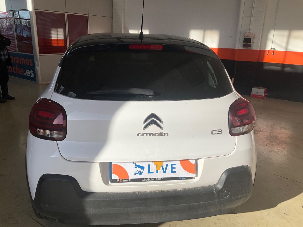 Parte Trasera