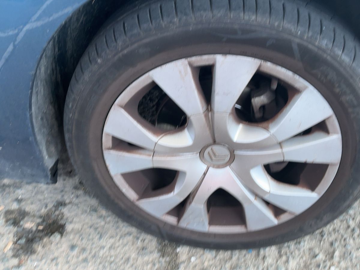 Neumático delantero derecho