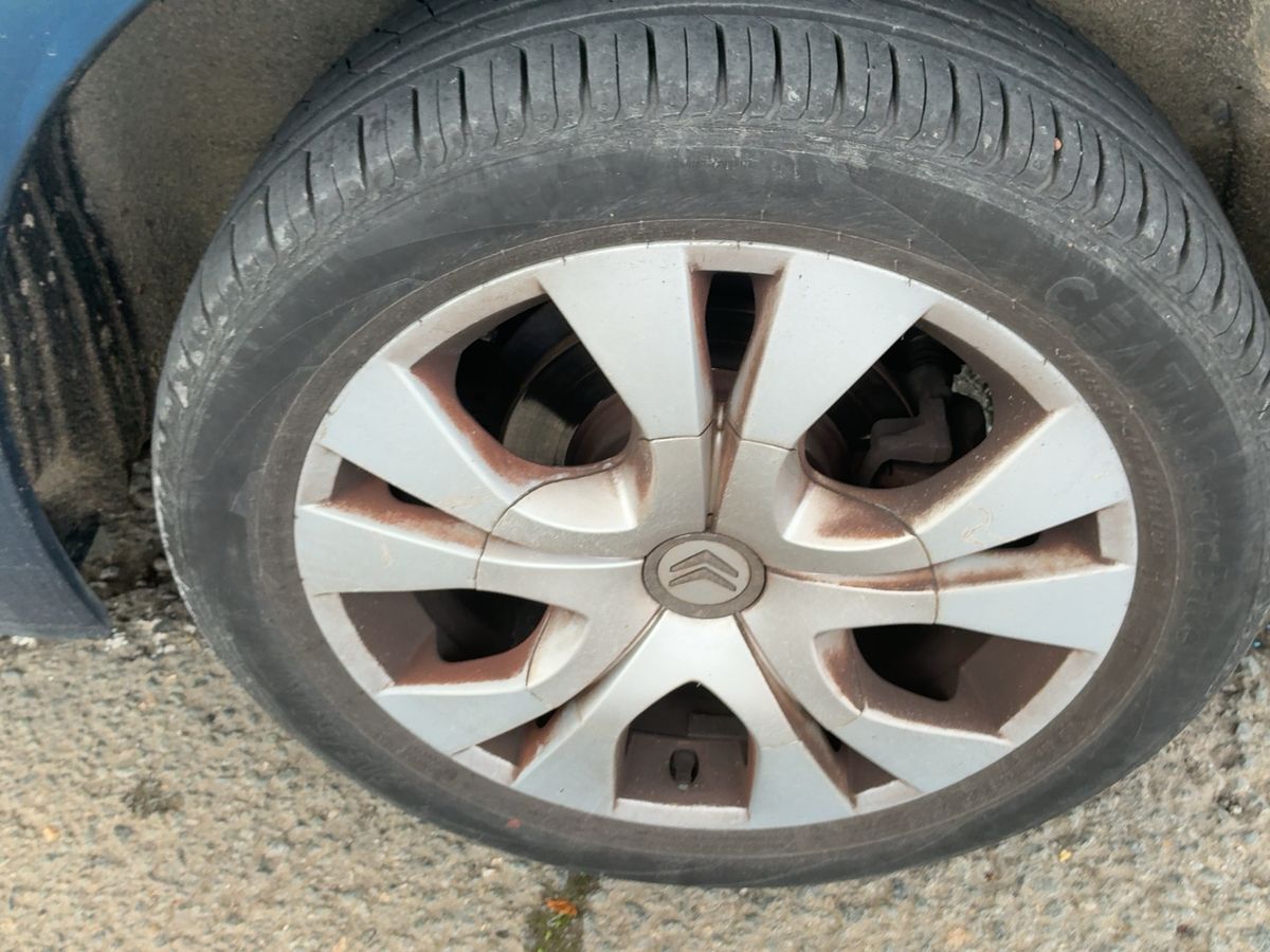 Neumático trasero izquierdo