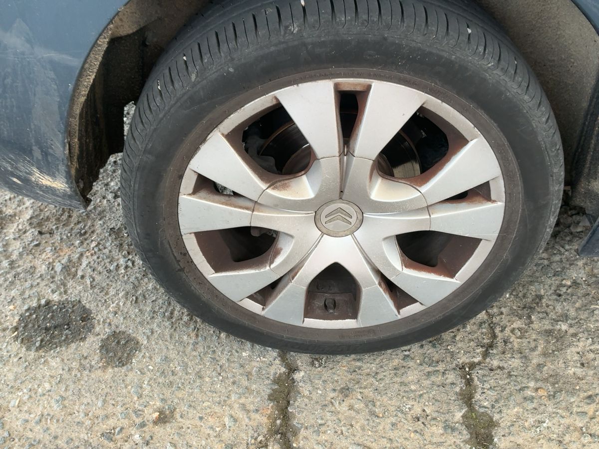 Neumático trasero derecho