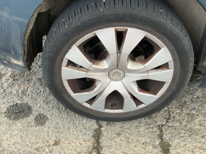 Neumático trasero derecho