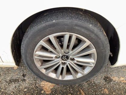 Neumático delantero derecho