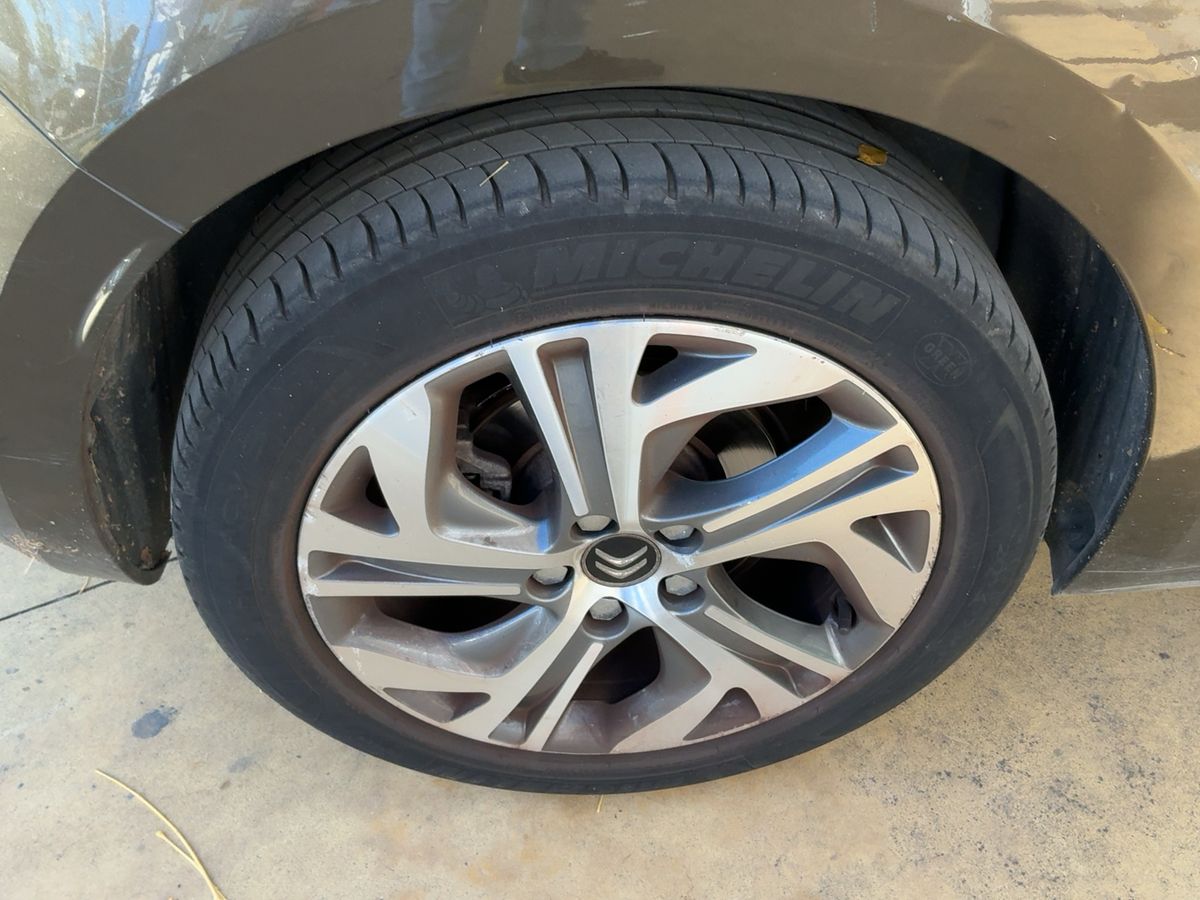 Neumático trasero derecho