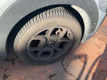 Neumático delantero derecho