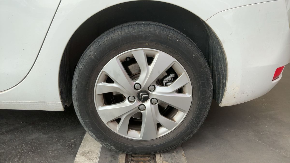 Neumático trasero izquierdo