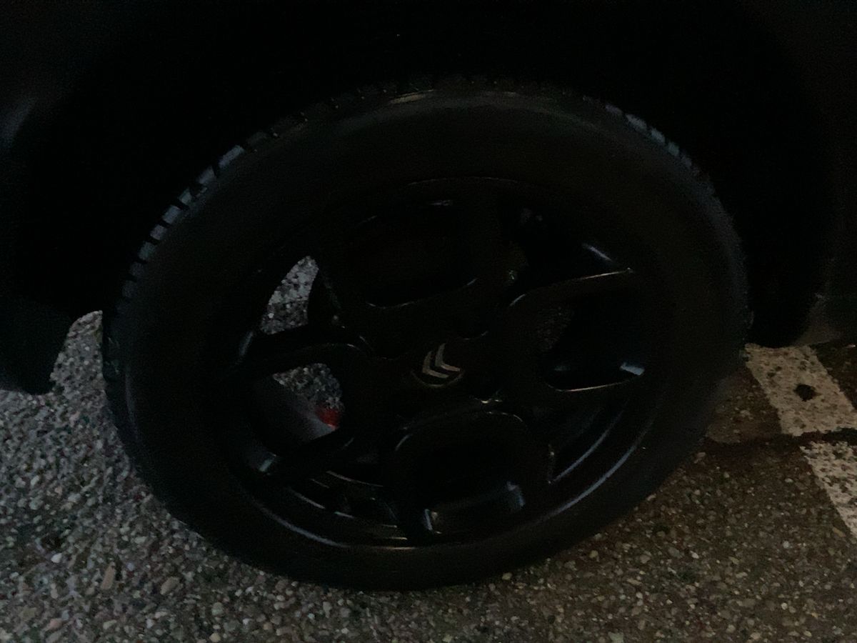 Neumático trasero derecho