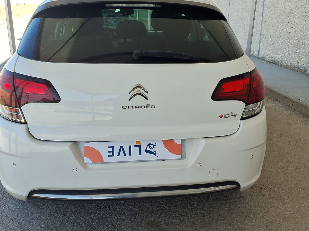 Parte Trasera