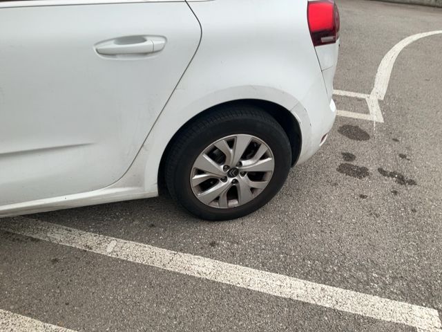 Neumático trasero izquierdo