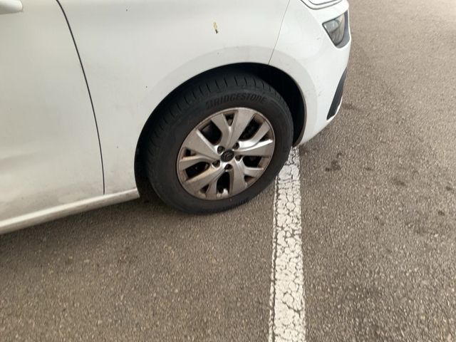 Neumático delantero derecho