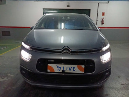 Frontal
