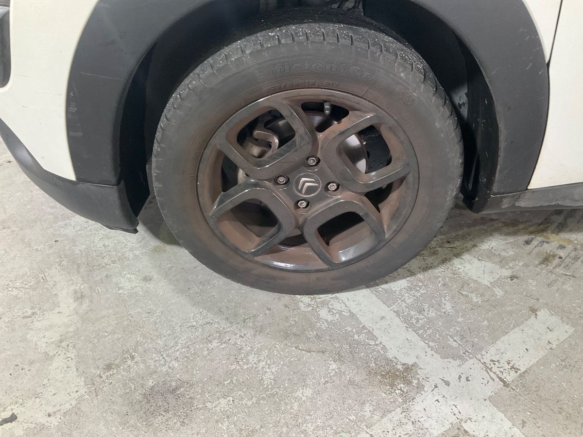 Neumático delantero izquierdo
